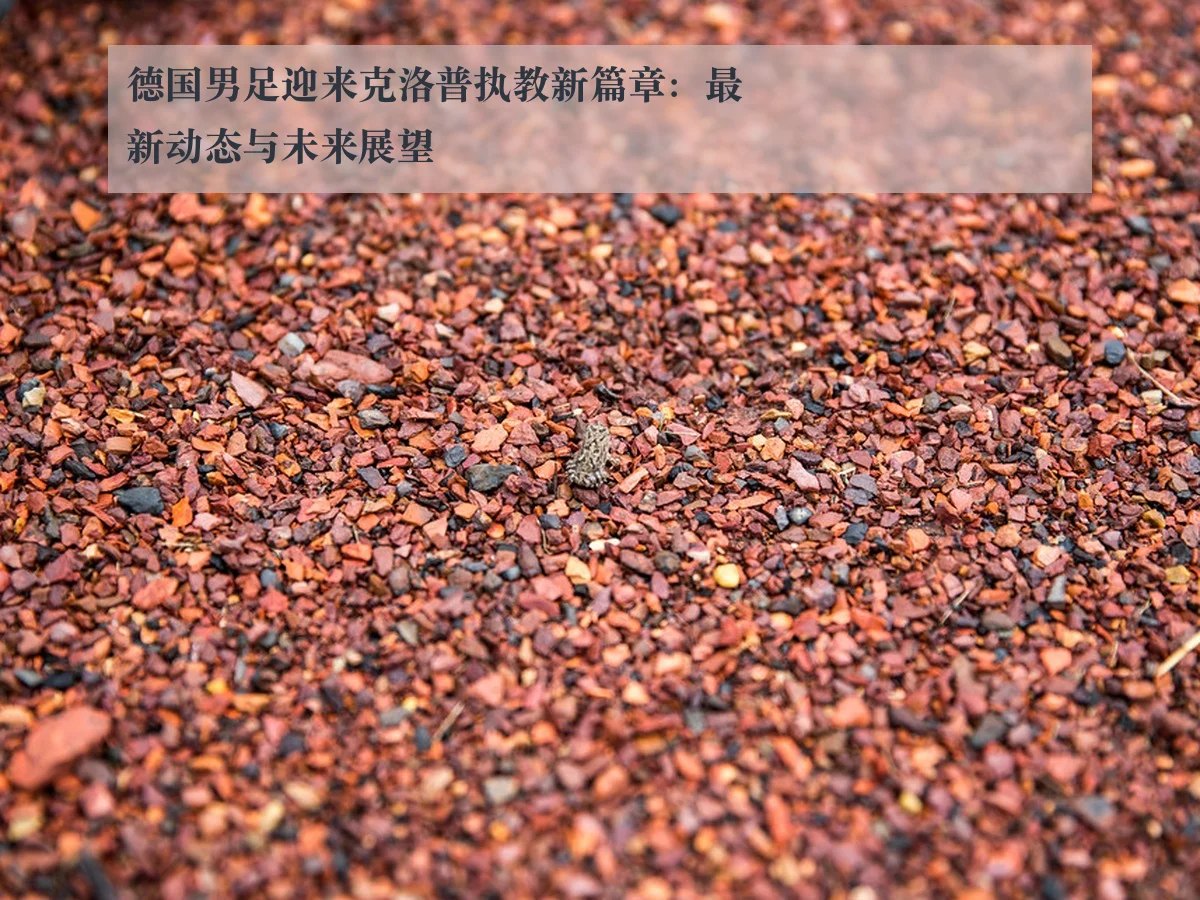 德国男足迎来克洛普执教新篇章：最新动态与未来展望