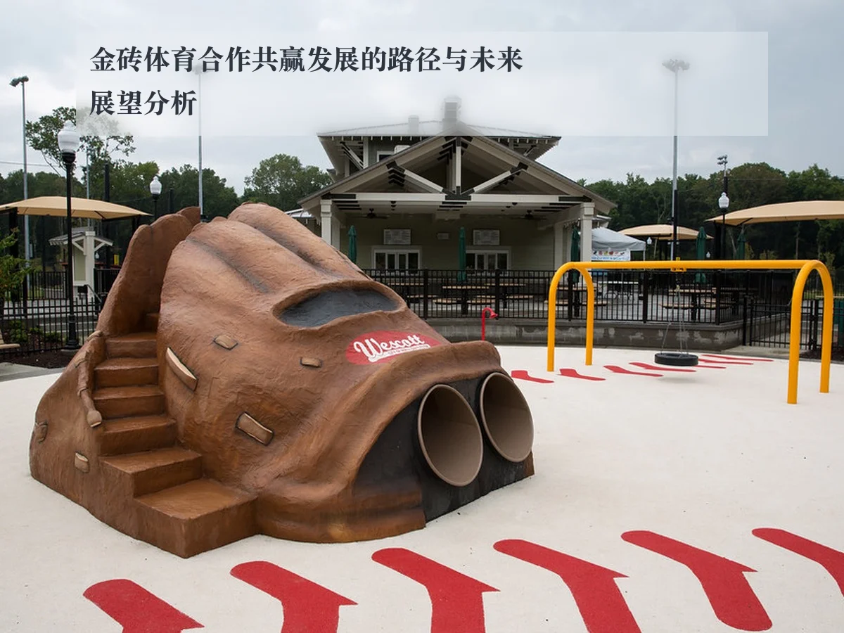 金砖体育合作共赢发展的路径与未来展望分析