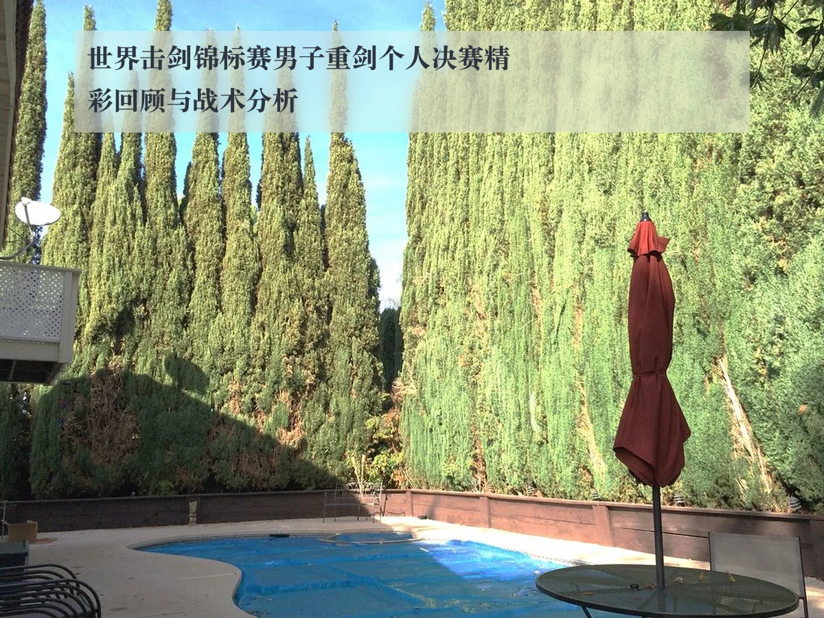 世界击剑锦标赛男子重剑个人决赛精彩回顾与战术分析