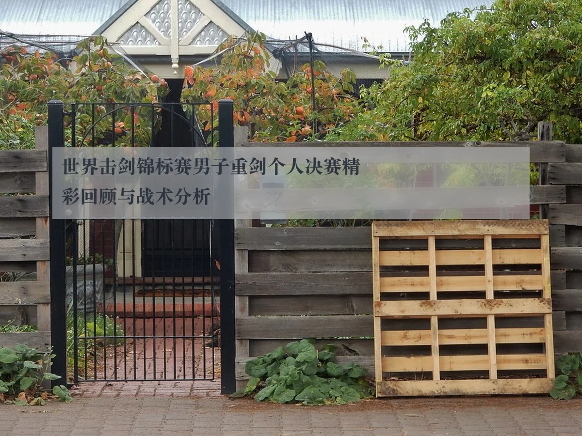 世界击剑锦标赛男子重剑个人决赛精彩回顾与战术分析